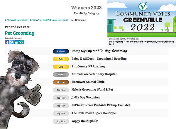 Groomed dog from Primp My Pup Mobile Dog Grooming