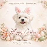 Recent Puppy Parade Mobile Grooming & Spa grooming photo