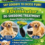 Dog grooming result from Puppy Parade Mobile Grooming & Spa