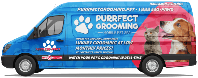 Purrfect Pet Grooming