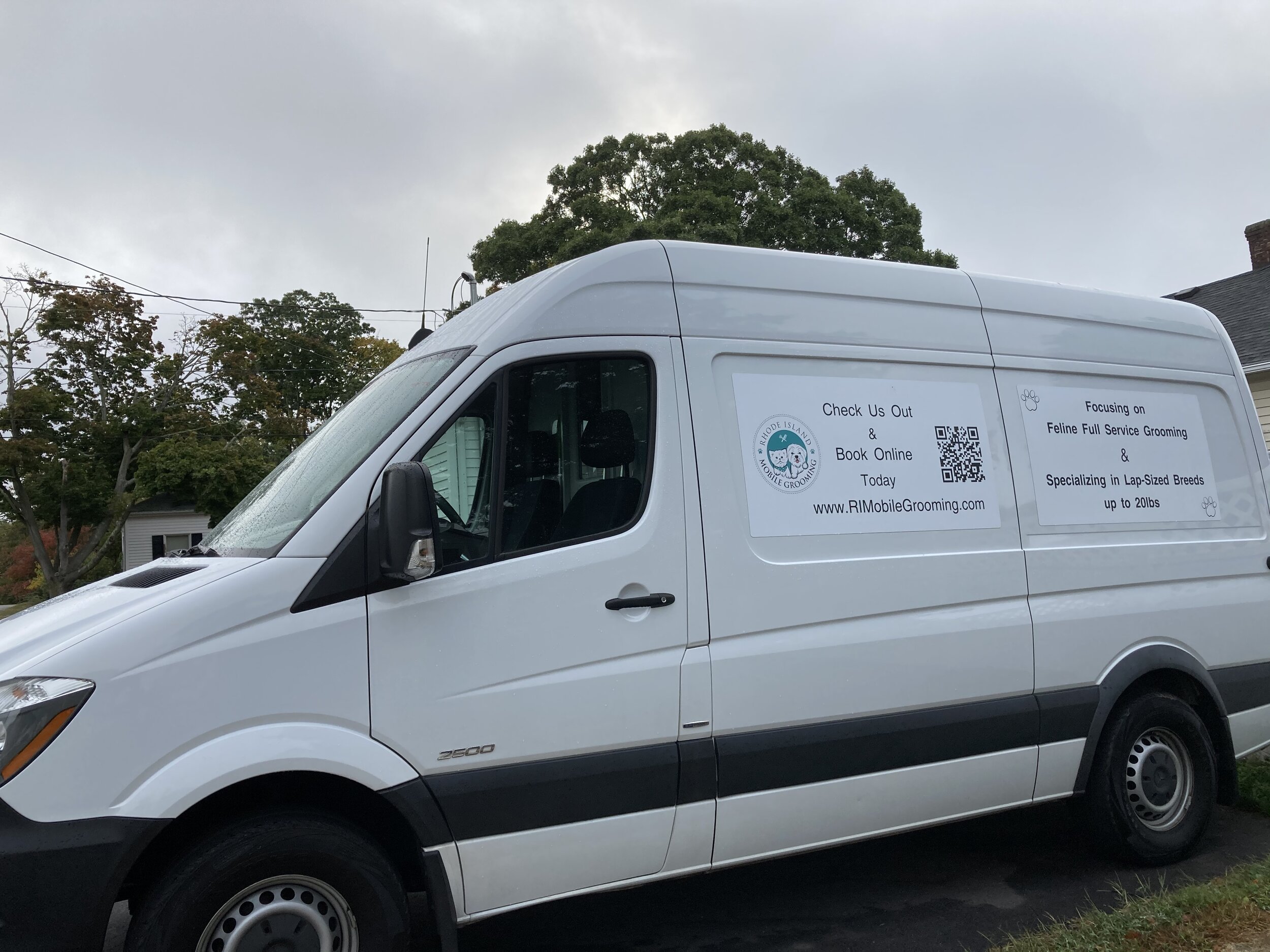 Rhode Island Mobile Cat Grooming