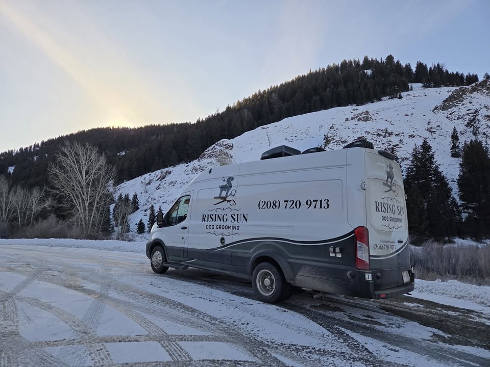 Rising Sun Dog Grooming profile photo