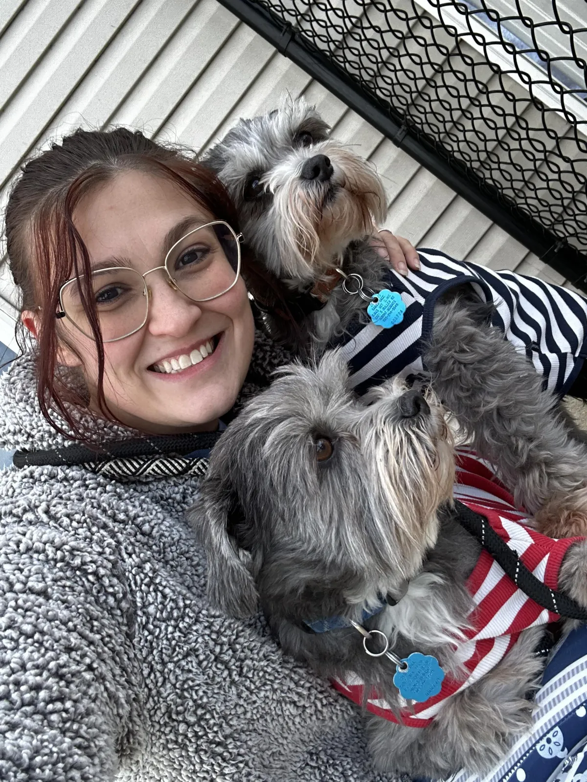 Dog portrait from Rolling Pup Wash service gallery