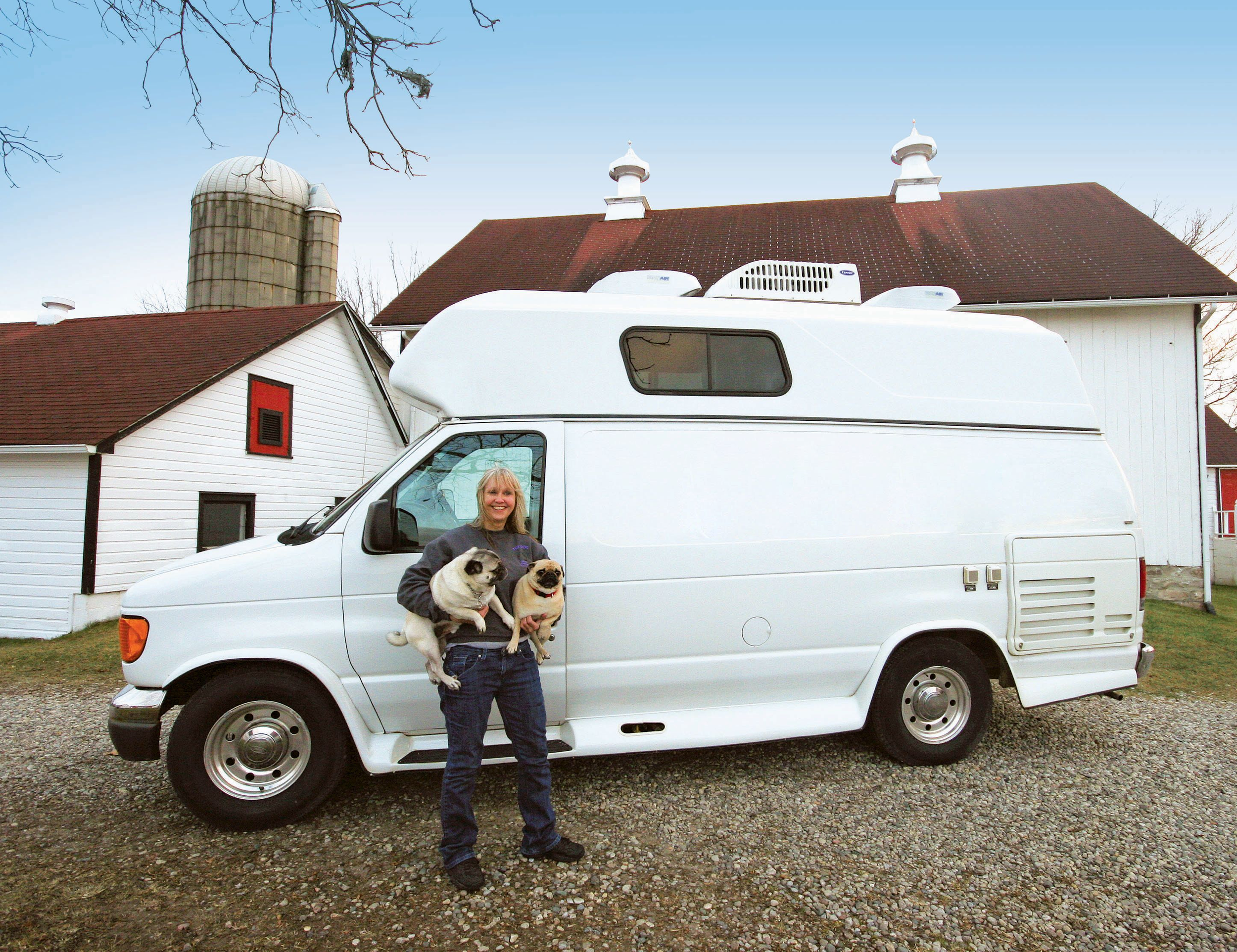 Dog grooming service image for Roxy Paws Mobile Pet Spa