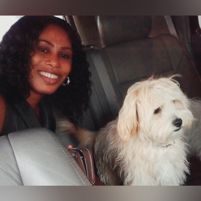 Dog after grooming with SaBoORA Mobile Pet Grooming