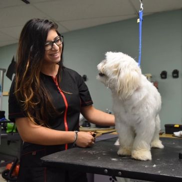 Mary Kathryn Kent of Salty Paws Grooming