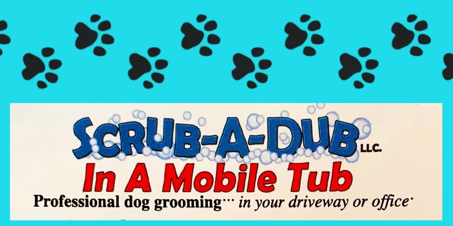 Scrub A Dub In A Mobile Tub service image
