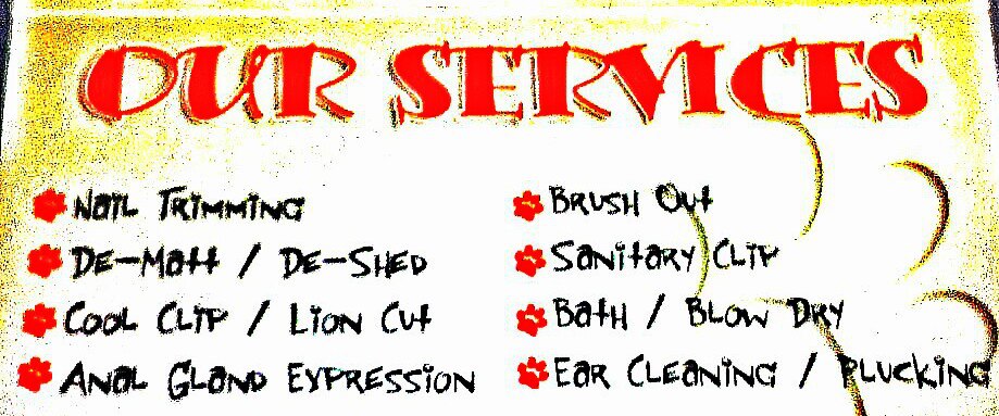 Shags N' Wags Mobile Pet Grooming