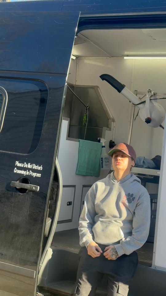 Recent promotional image from Shags N' Wags Mobile Pet Grooming