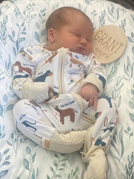 ShamPooches Mobile Dog Bathing & More