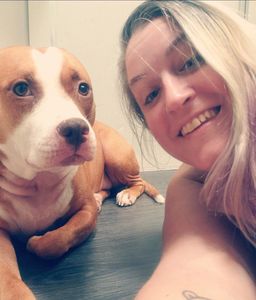 Stress-free mobile grooming image from Shampooches Mobile Spaw