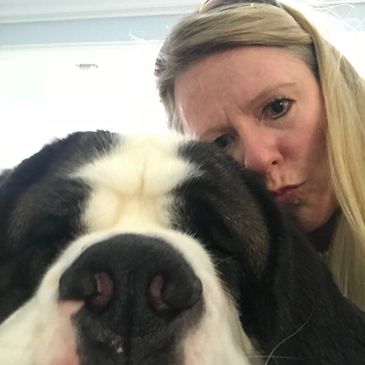 Dog being handled by Shear Bliss Mobile Dog Spa groomer