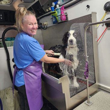 Dog grooming photo from Shear Bliss Mobile Dog Spa