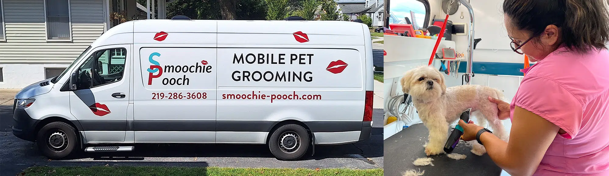 Mobile dog and cat grooming service image for Northwest Indiana