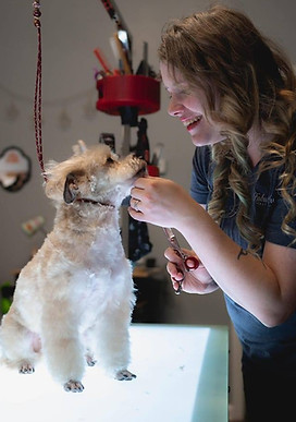 Styled dog from Solana's Mobile Pet Spa portfolio