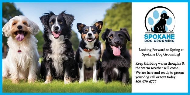 Spokane Dog Grooming