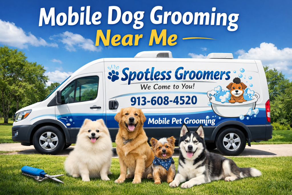 Spotless Groomers mobile pet grooming image