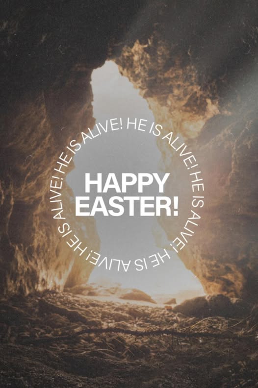 Recent official post image from Stant's Mobile Dog Grooming