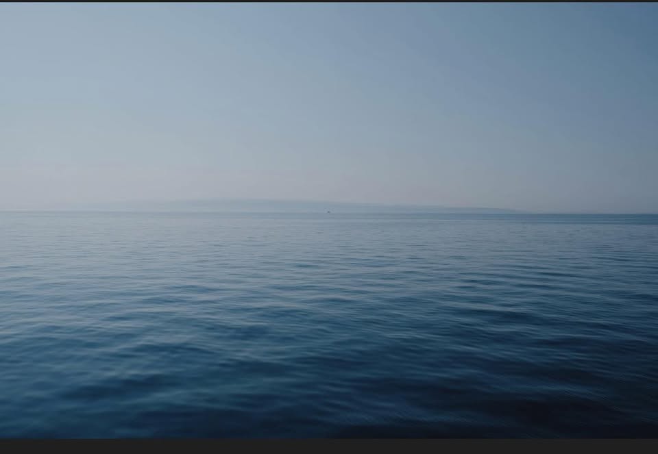 Still Waters Pet Grooming