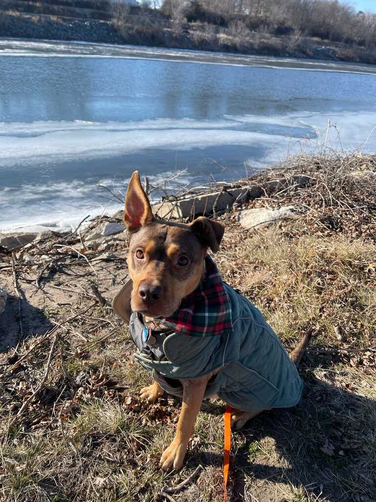 Customer post image associated with Suds 'N Hugs recommendation thread