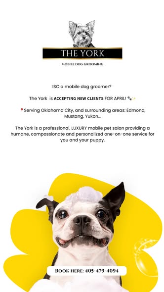 Tail Waggers Mobile Dog Grooming