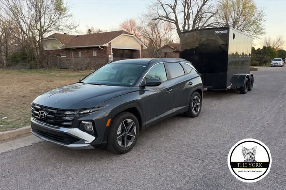 Tail Waggers groomed dog photo