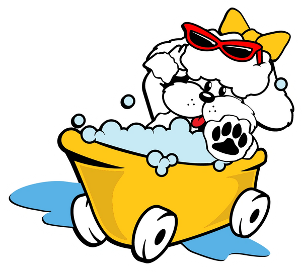 Dog image on Talk to The Paw Mobile Spa homepage