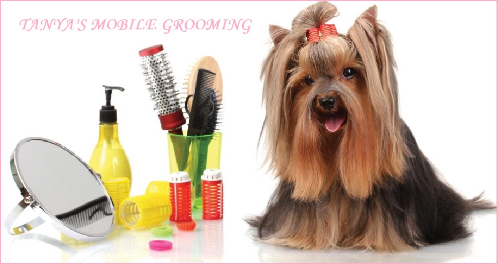 Tanya's Mobile Grooming Houston