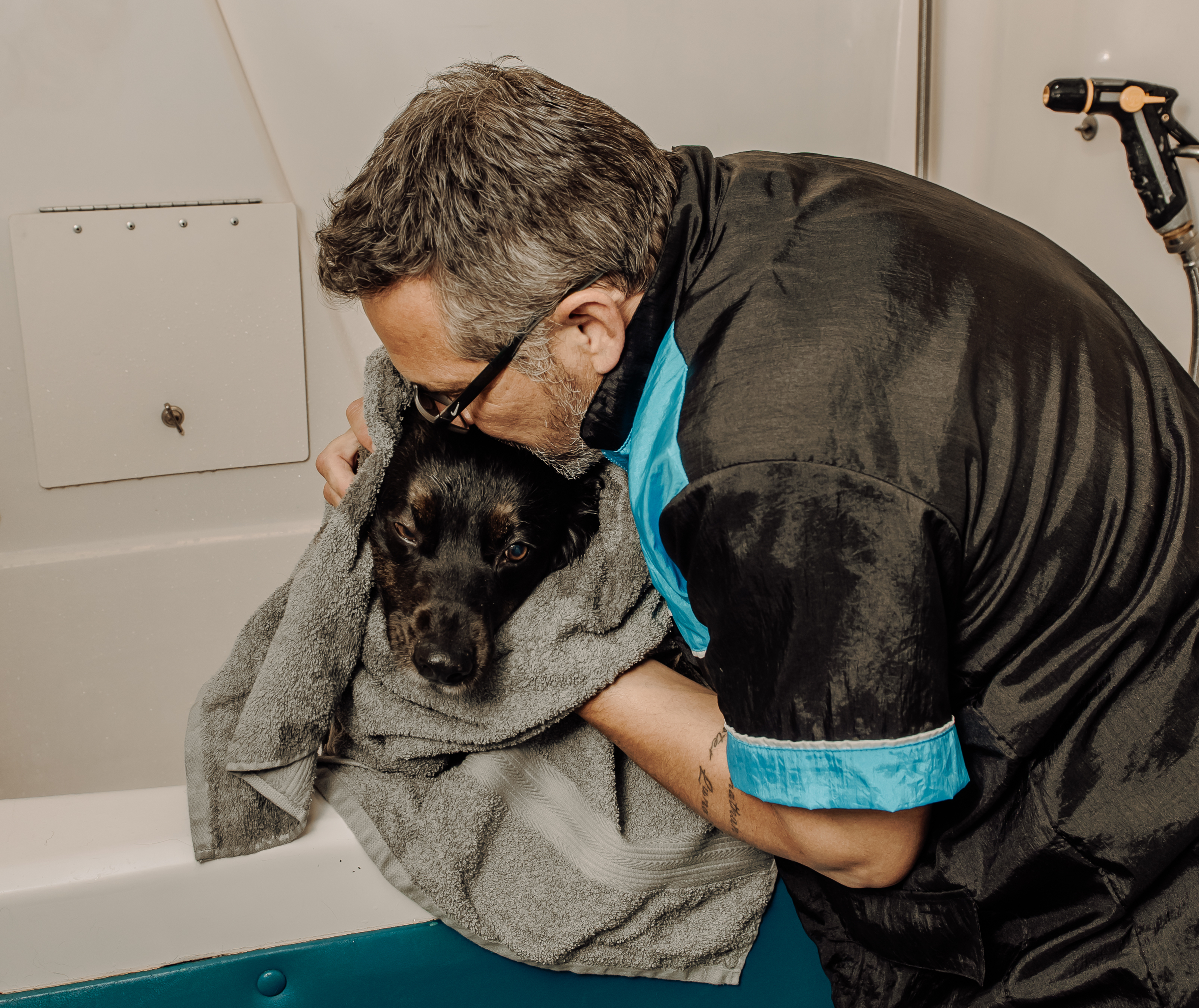 Dog grooming image from The Dogfather Mobile Dog Grooming website