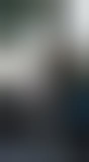 The Groomer's Corner