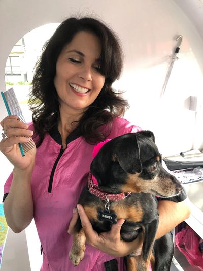 The Magical Traveling Pet Groomer