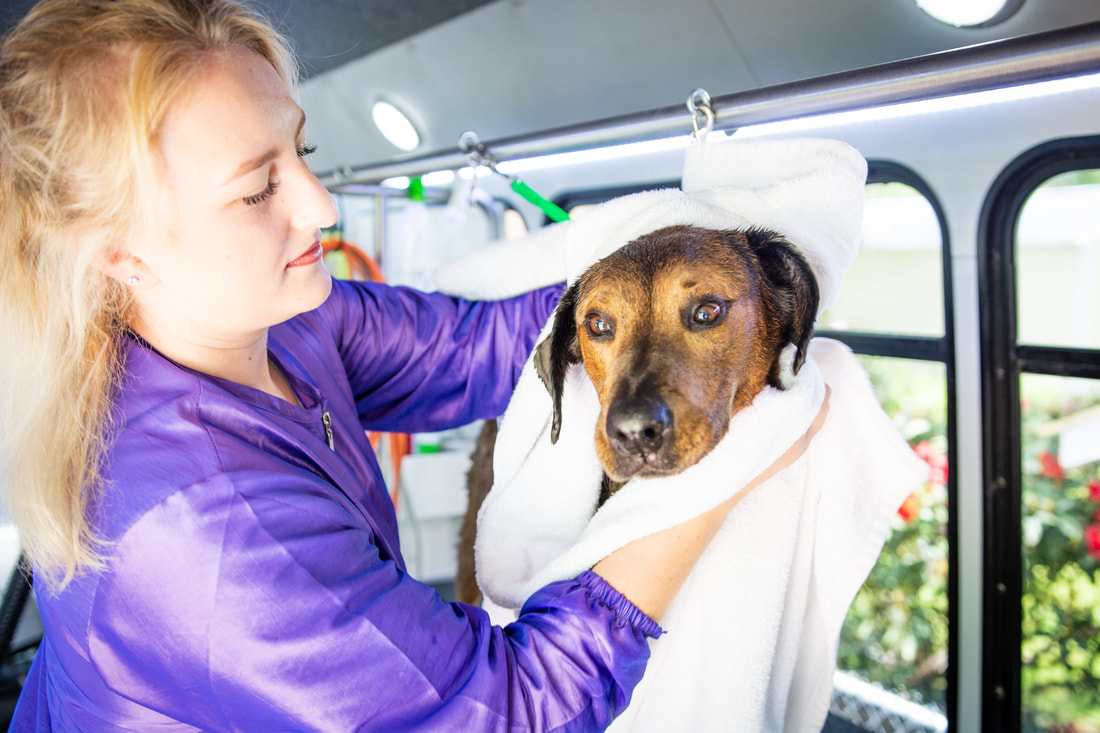 The Oly Grooming Co. mobile grooming bus