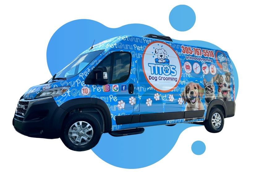 Tito's Dog Grooming