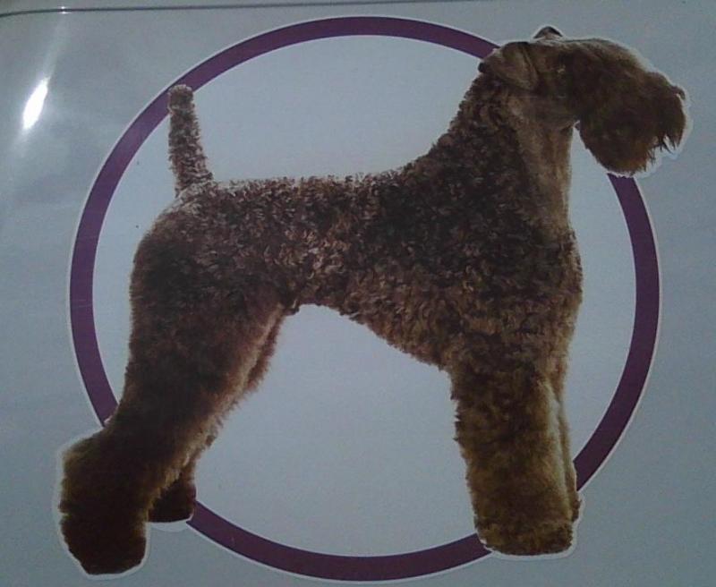 Top Dog Mobile Grooming image on home page