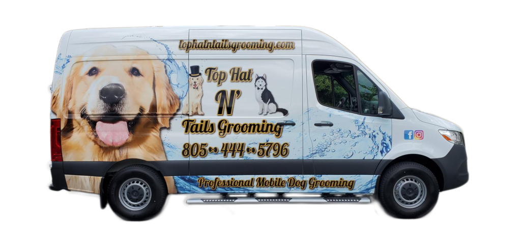 Top Hat N Tails Grooming