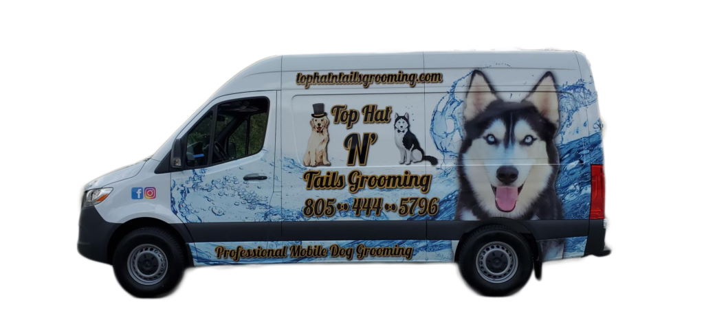 Inside the Top Hat N Tails Grooming mobile van