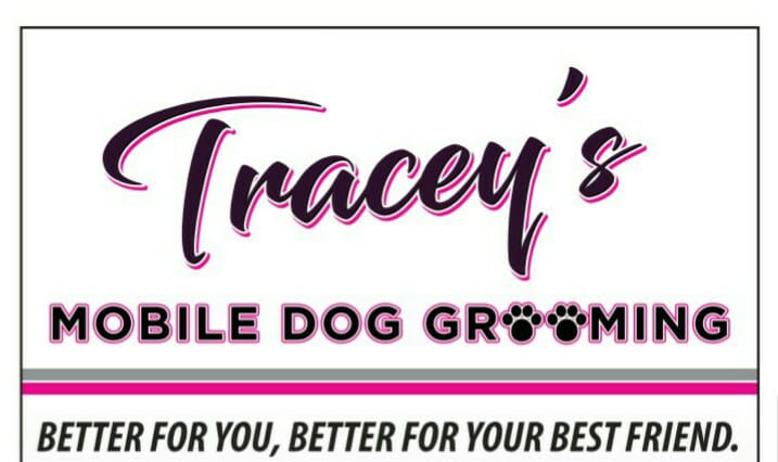Tracey's Mobile Dog Grooming profile image