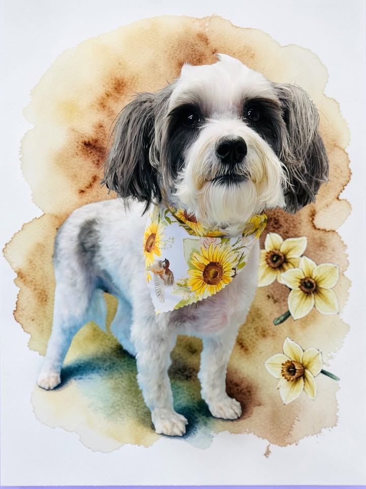 Tracey's Pamper Camper Mobile Doggie Spa