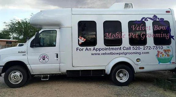 Velvet Bow Pet Grooming