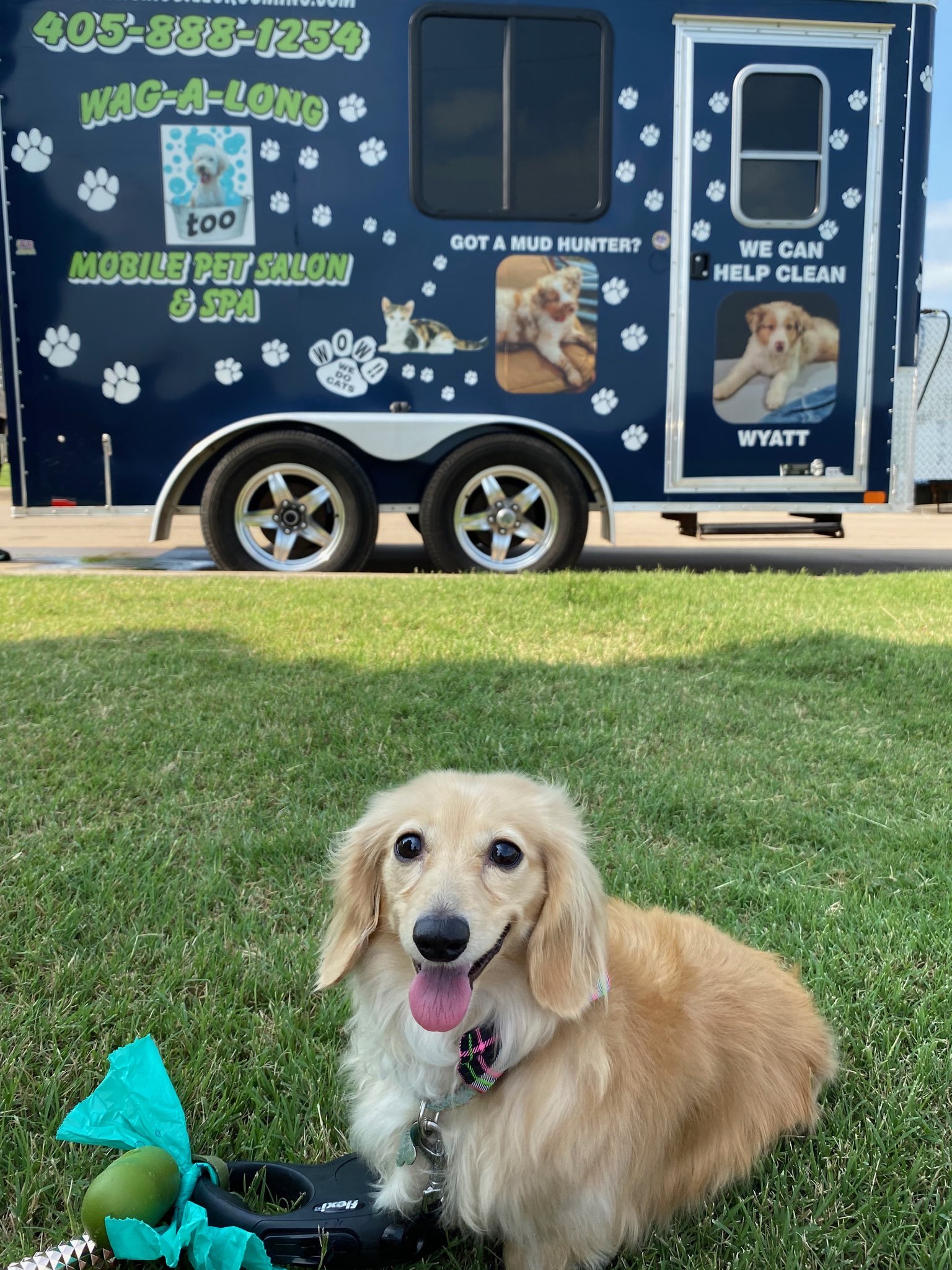 Dog featured by Wag-A-Long Mobile Pet Salon and Spa