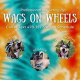 Wags On Wheels gallery image 1