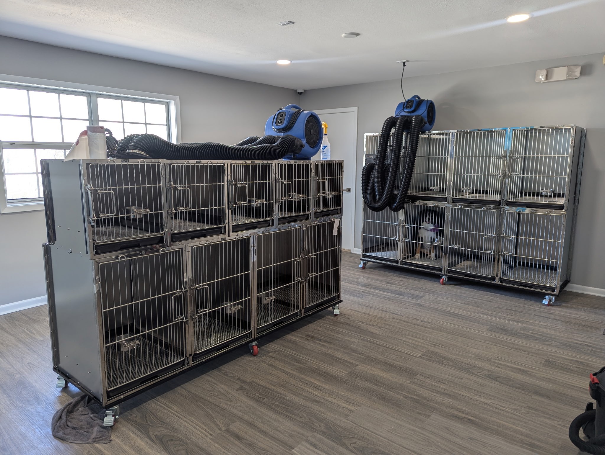 Wags to Riches in-store grooming setup