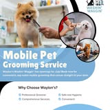 Dog photo from Waylon's Washin' Waggin' Facebook gallery