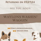 Pet image from Waylon's Washin' Waggin' official gallery