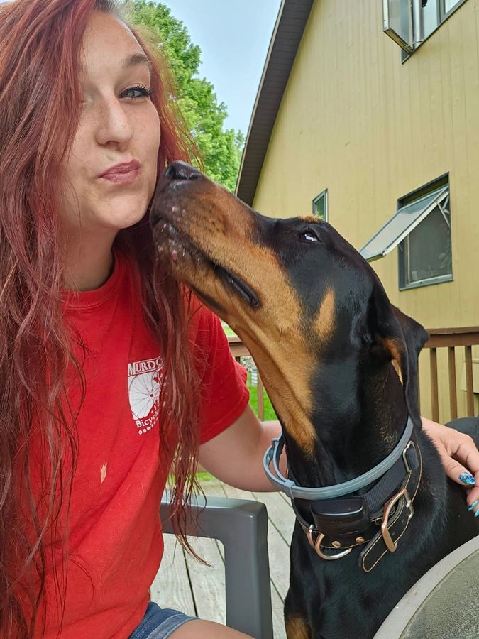 Wheelin Winston Mobile Grooming and Home Care LLC