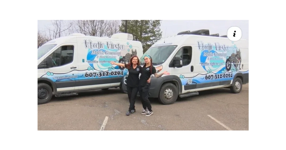 Mobile grooming illustration from Wheelin Winston