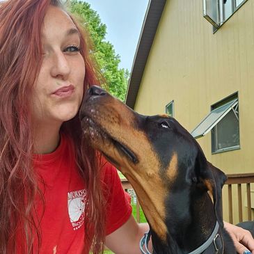 Freshly groomed dog by Wheelin Winston