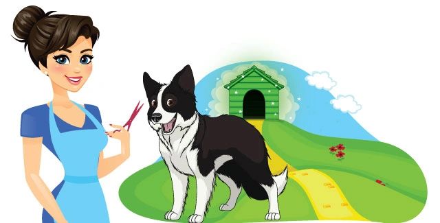 Wizard of Paws, Mobile Pet Grooming