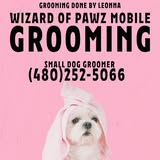 Recent groomed-pet image from Wizard of Pawz Spa Mobile Grooming