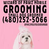 Another Wizard of Pawz Spa Mobile Grooming groomed-pet photo